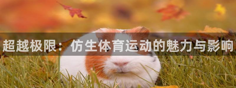 J9官网下载招商电话号码是多少号：超越极限：仿生体育