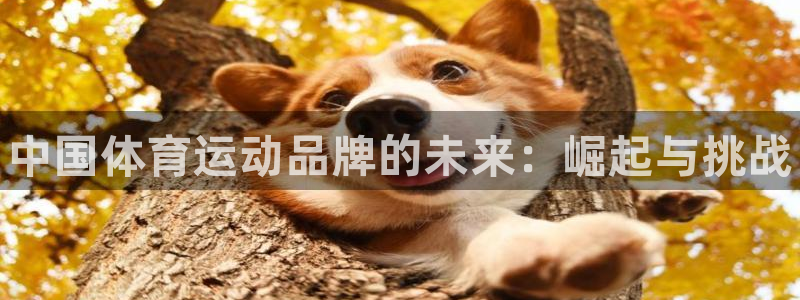 J9官方正版app集团官网首页：中国体育运动品牌的未
