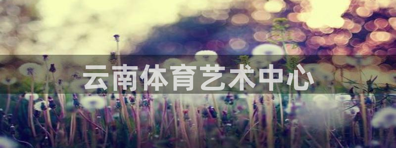 J9官方正版app新能源：云南体育艺术中心