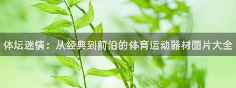 J9官网下载招商电话地址是多少：体坛迷情：从经典到前