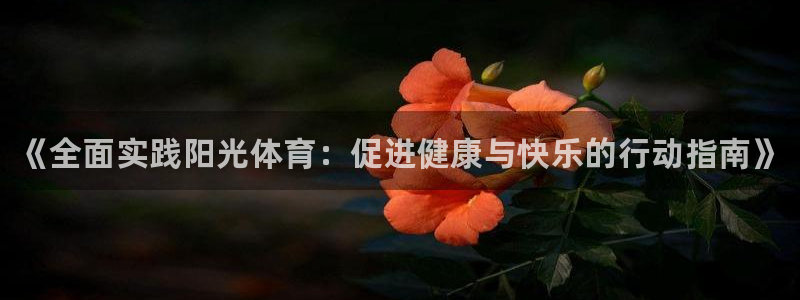 J9官方正版app新能源：《全面实践阳光体育：促进健康与快乐