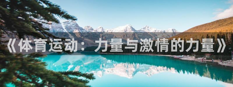 注册J9官方正版app：《体育运动：力量与激情的力量