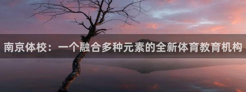 J9官网下载招商电话地址：南京体校：一个融合多种元素