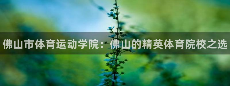 J9官方正版app五金厂：佛山市体育运动学院：佛山的