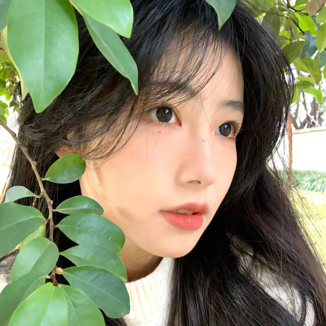 淮水情封面